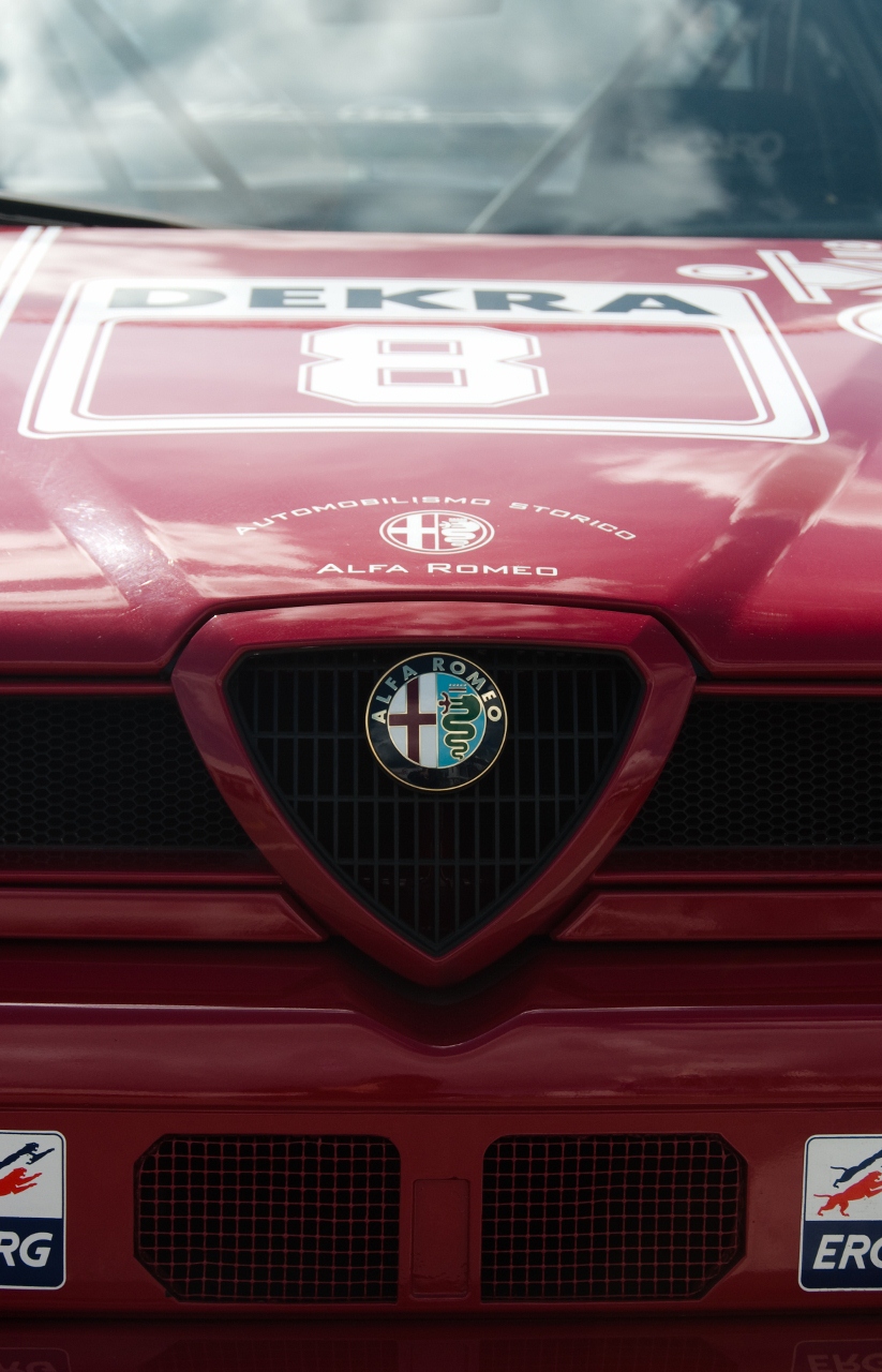 Alfa-Romeo-155-2.5-V6-TI-DTM-1993-Touring-Car-front-badge-823x1280.jpg